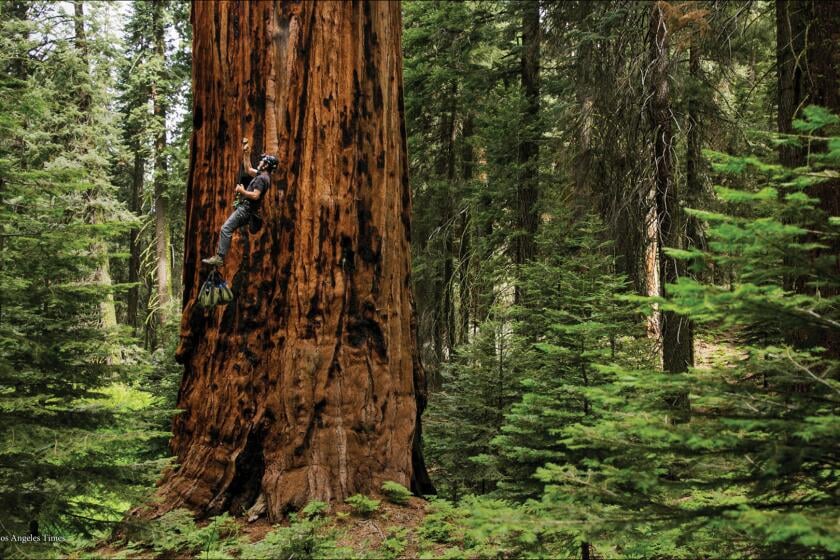 With 25% of state land protected, California nears its '30x30' conservation goal