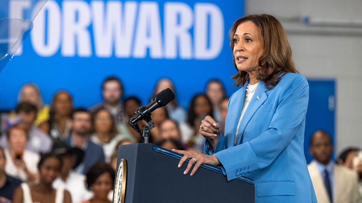 Big Food says Kamala Harris' grocery price gouging plan is 'a solution in search of a problem'