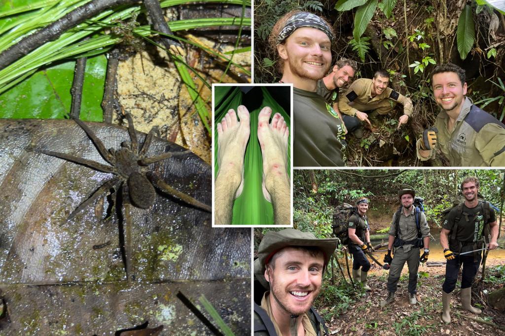 Explorers discover uncharted Amazon river, waterfalls — while being stalked by jaguar, reptiles: ‘It is brutal in the jungle’