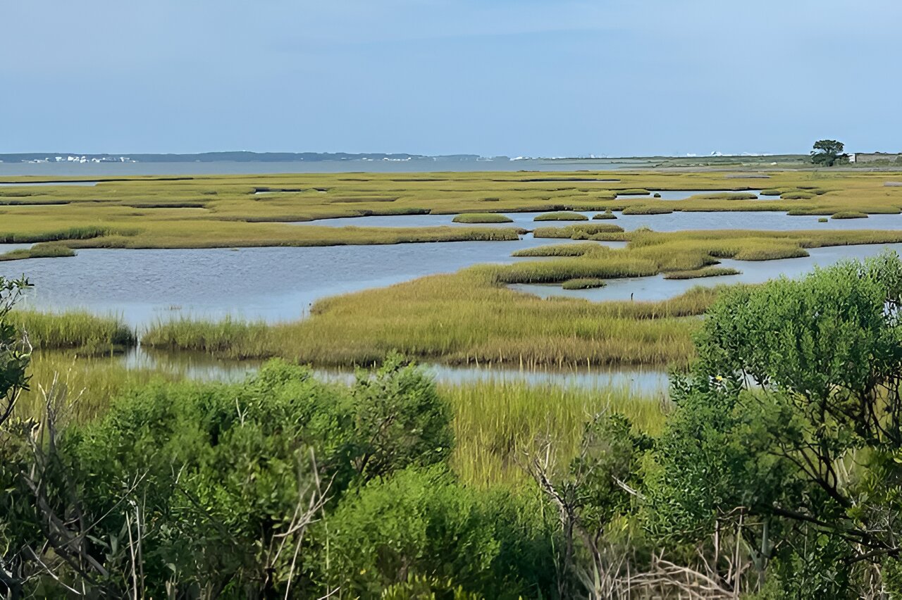 Anthropogenic CO₂ study quantifies amount and pathways in coastal ocean waters