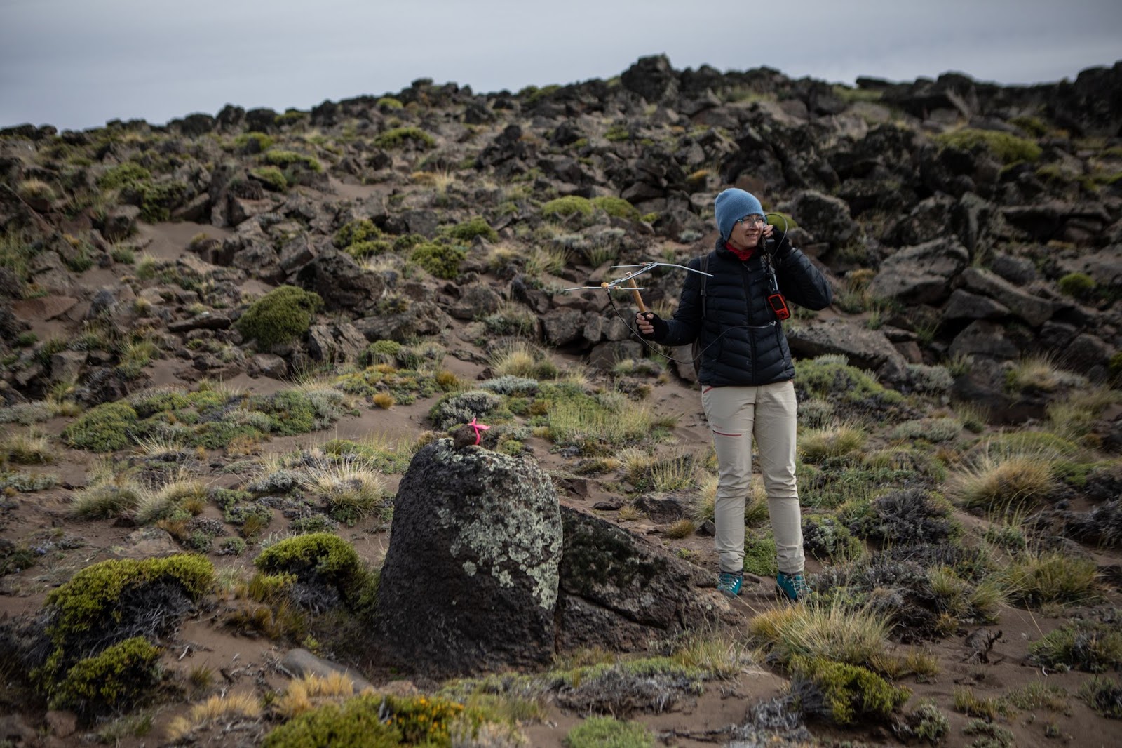 R-Ladies Bariloche in Argentina: Fostering a Different Approach to  Leadership