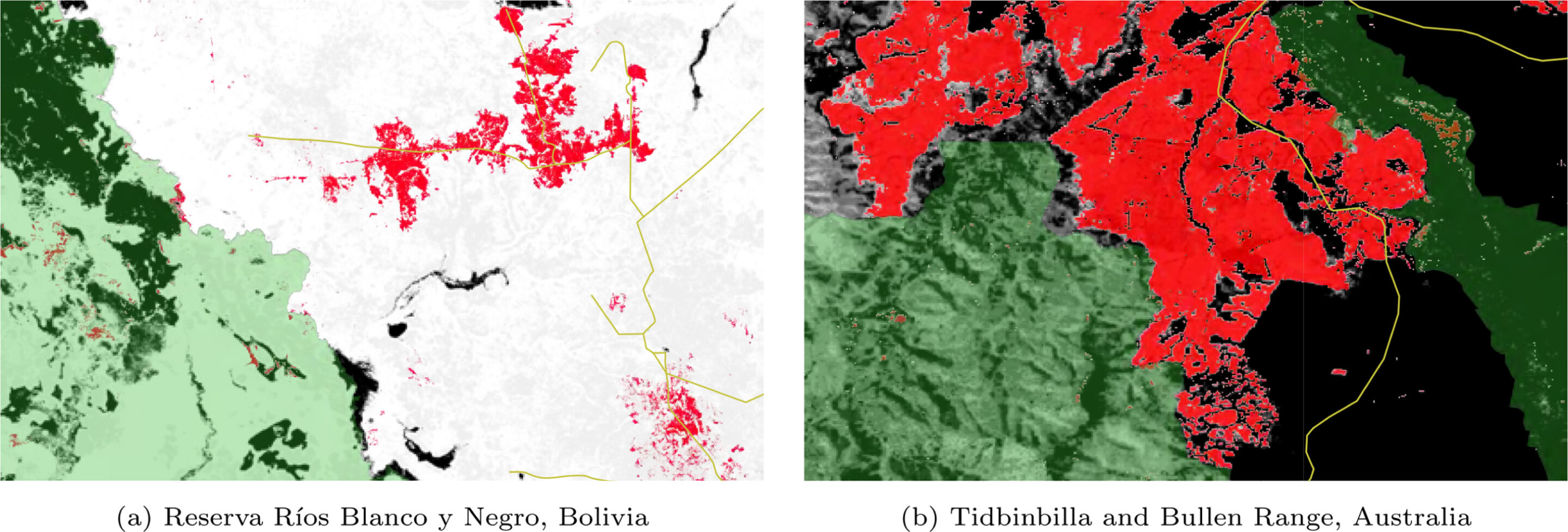 National parks and other protected areas often fail to conserve Earth's forests, research finds