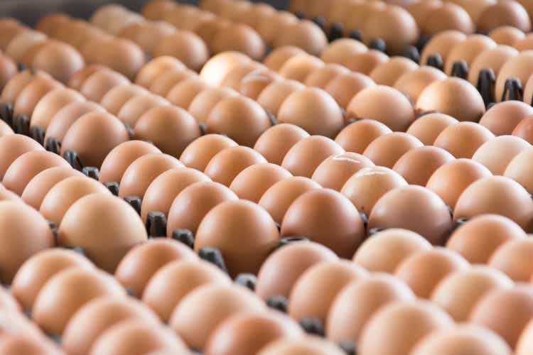 Cal-Maine Foods creates egg products joint venture with new investment