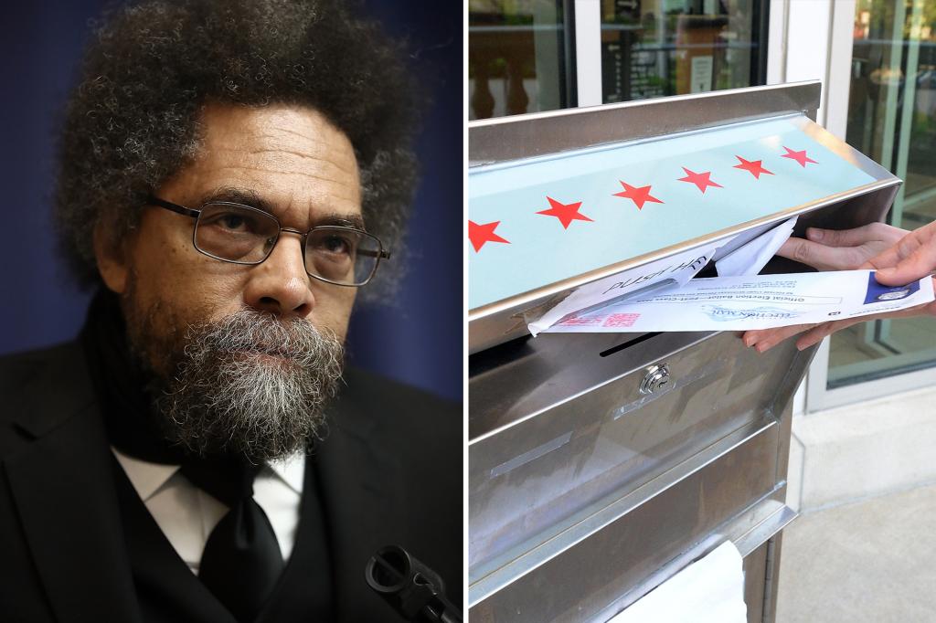 Cornel West loses bid to get on presidential election ballots in key swing state