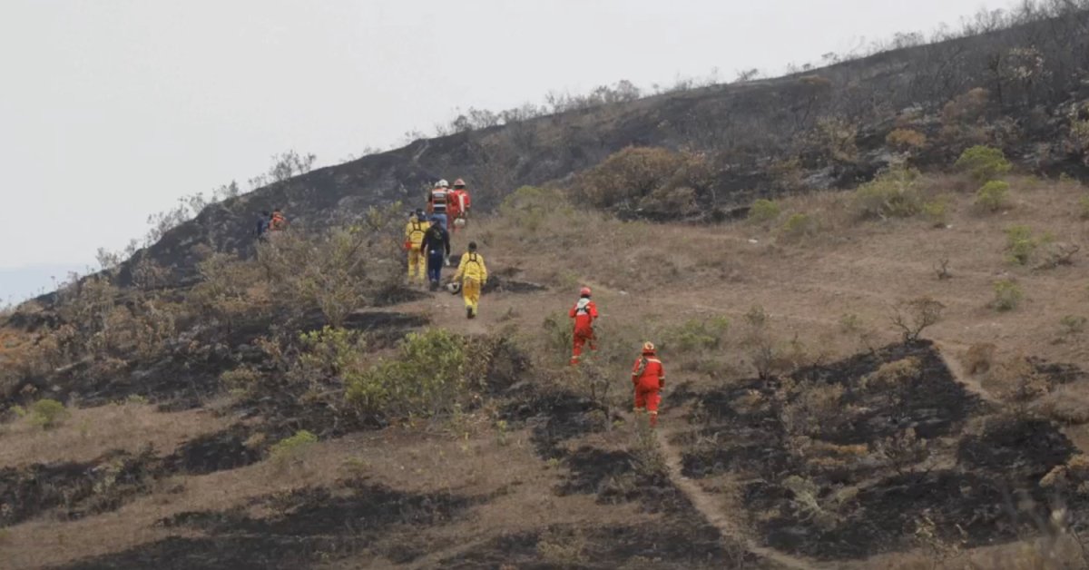 Peru Struggles to Fight Nationwide Wildfires That Have Left 15 People Dead Since July