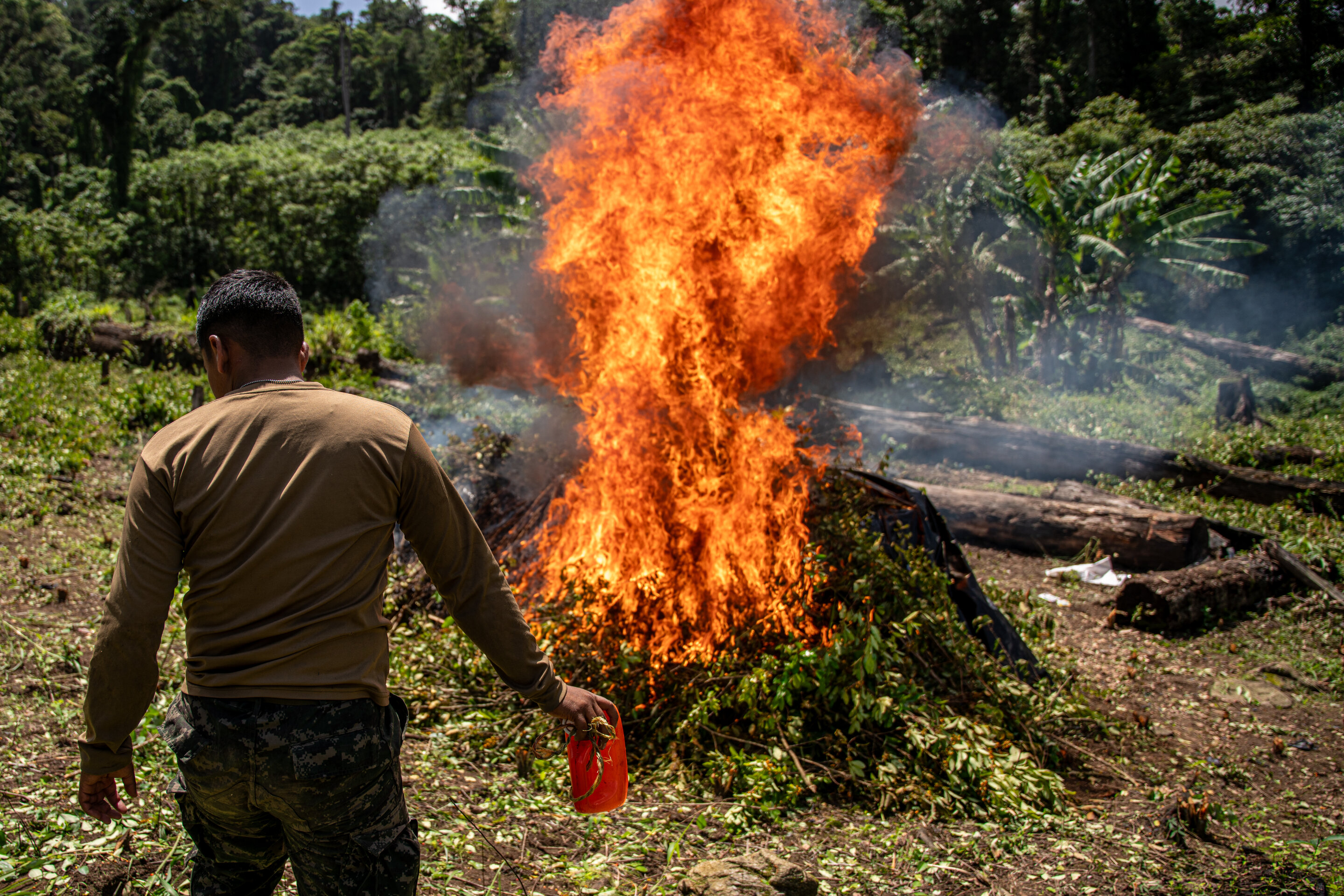 Central America could play troubling new role in cocaine trade: Study finds some countries agriculturally 'ideal'