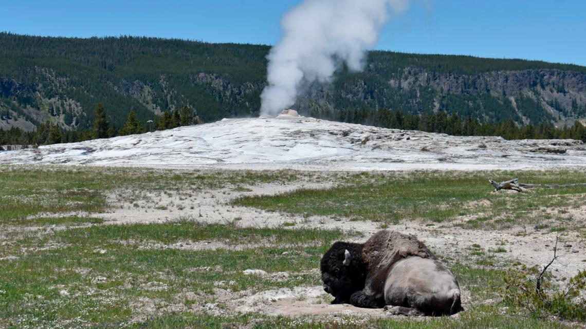 Yellowstone tourist suffers 3rd-degree burns after leaving trail