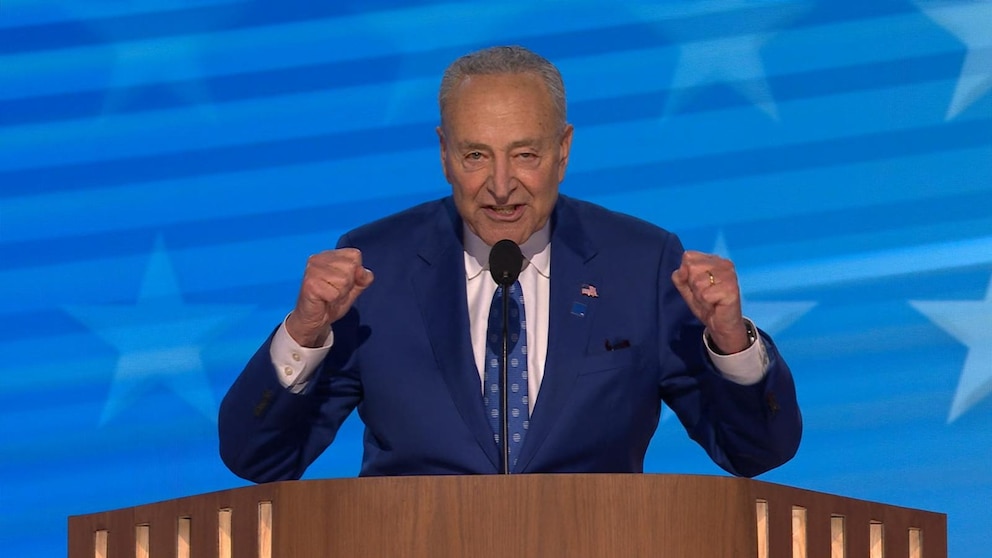 WATCH: Schumer at the DNC makes case Democrats will keep the Senate