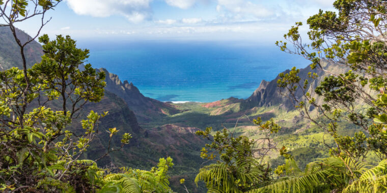 Hawaii hikers report exploding guts as norovirus outbreak hits famous trail