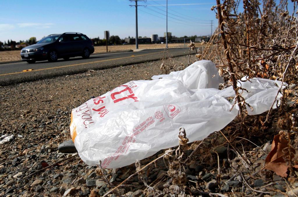 California governor signs law banning plastic shopping bags