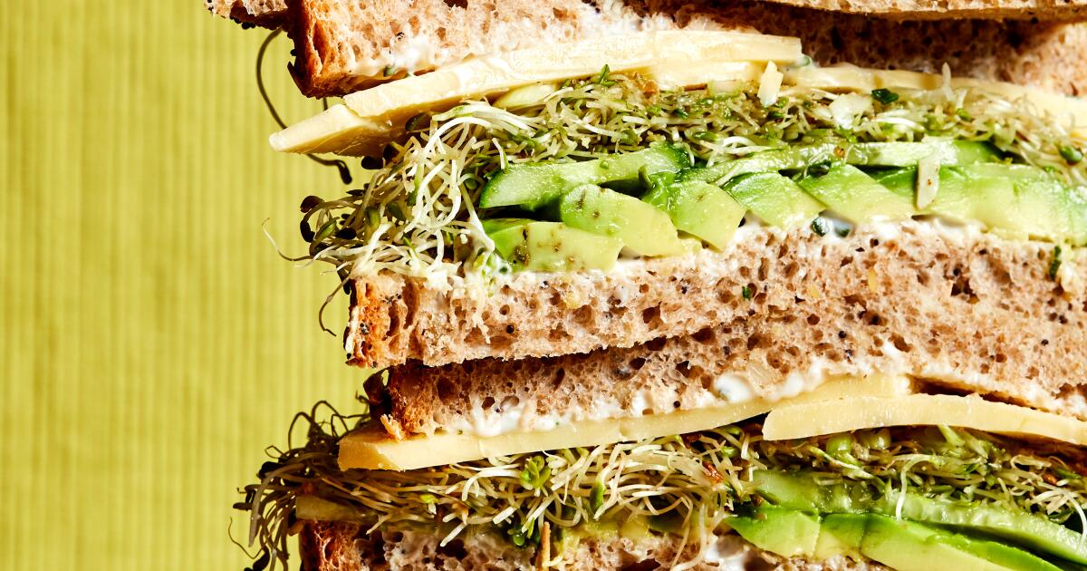 The best sandwich recipes