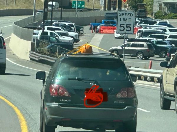 Hauling Home the Holiday Gourd