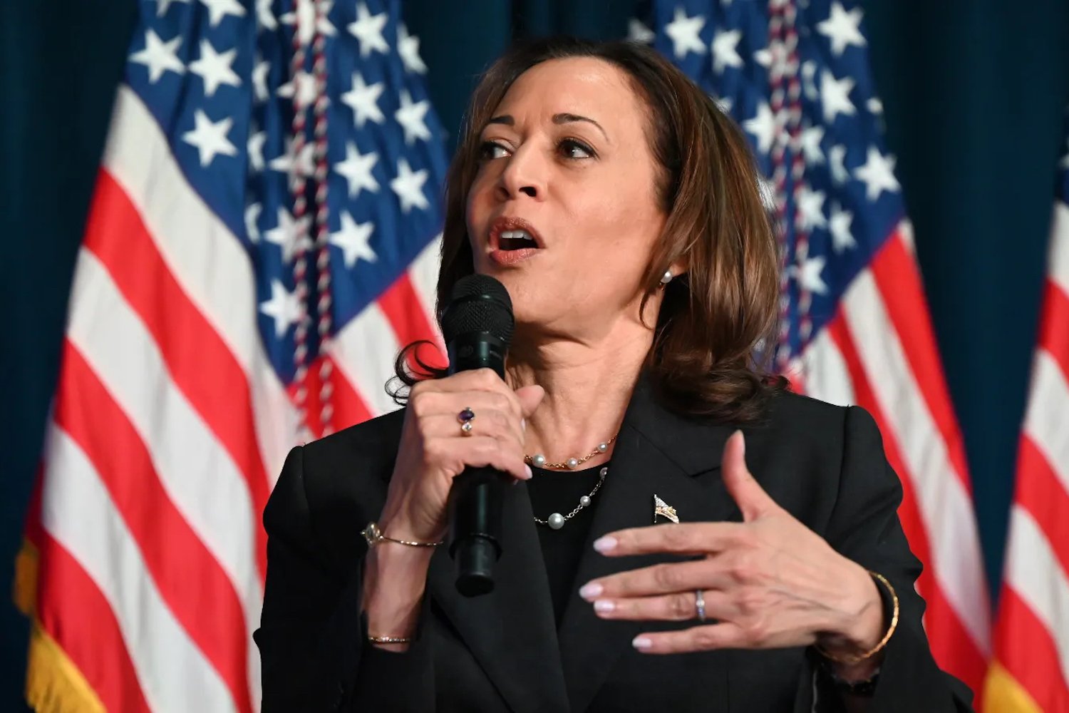 Kamala Harris’s Patriotic Spin on Climate Action