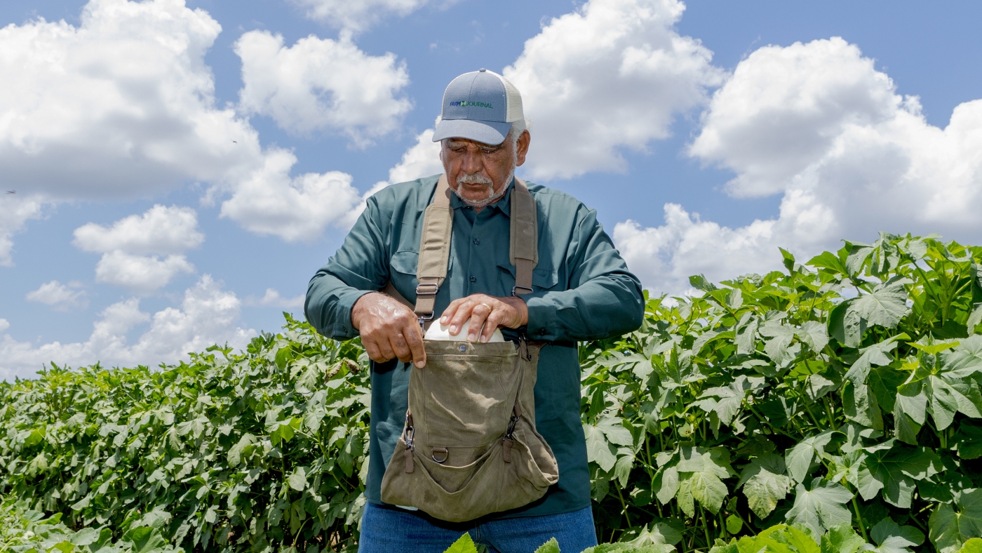 These small Black-owned farms are growing crops with the climate in mind