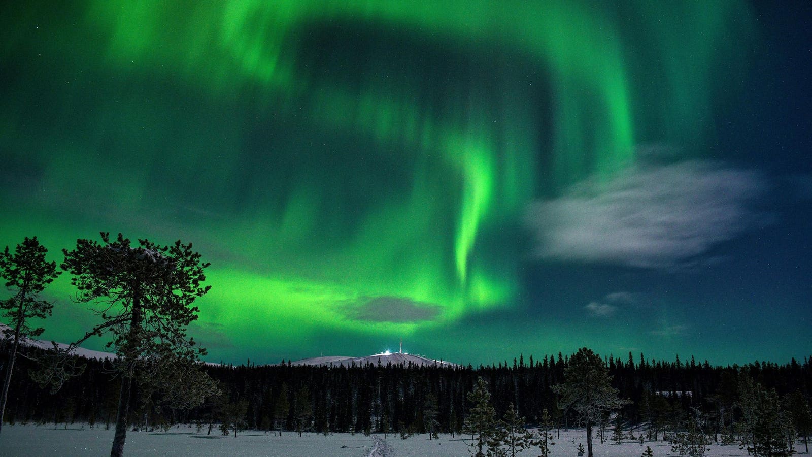 Updated Northern Lights Forecast: Solar Eruptions May Make Aurora Borealis Visible In These States Tonight