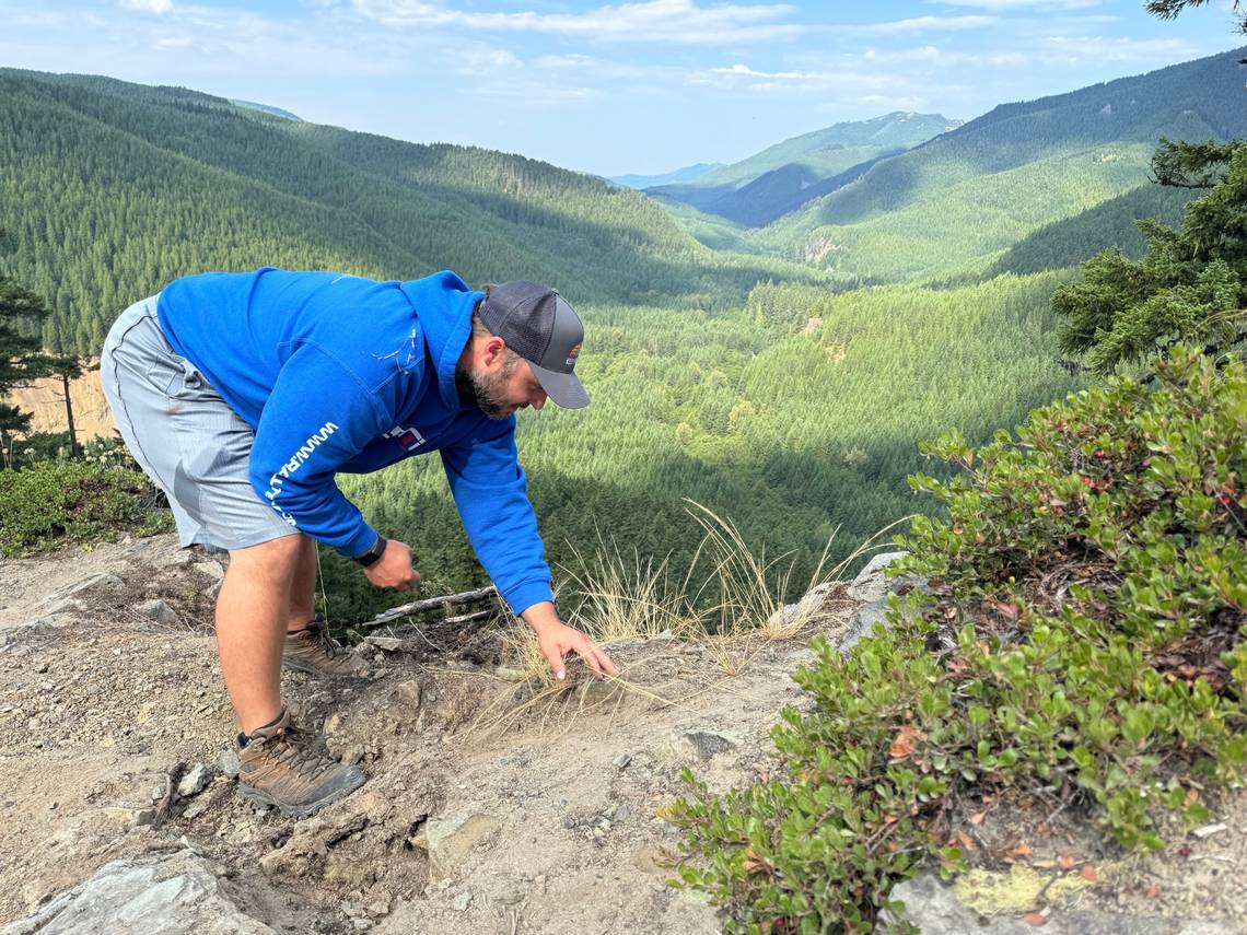 ‘We found our people.’ WA’s rock hounds comb mountains and beaches for stony treasures