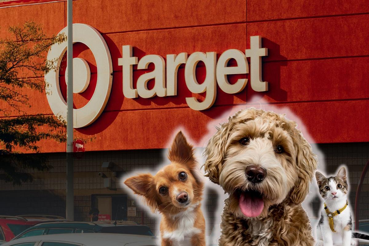 New Stanley Bowls for Pets Now at Minnesota-Based Target Stores