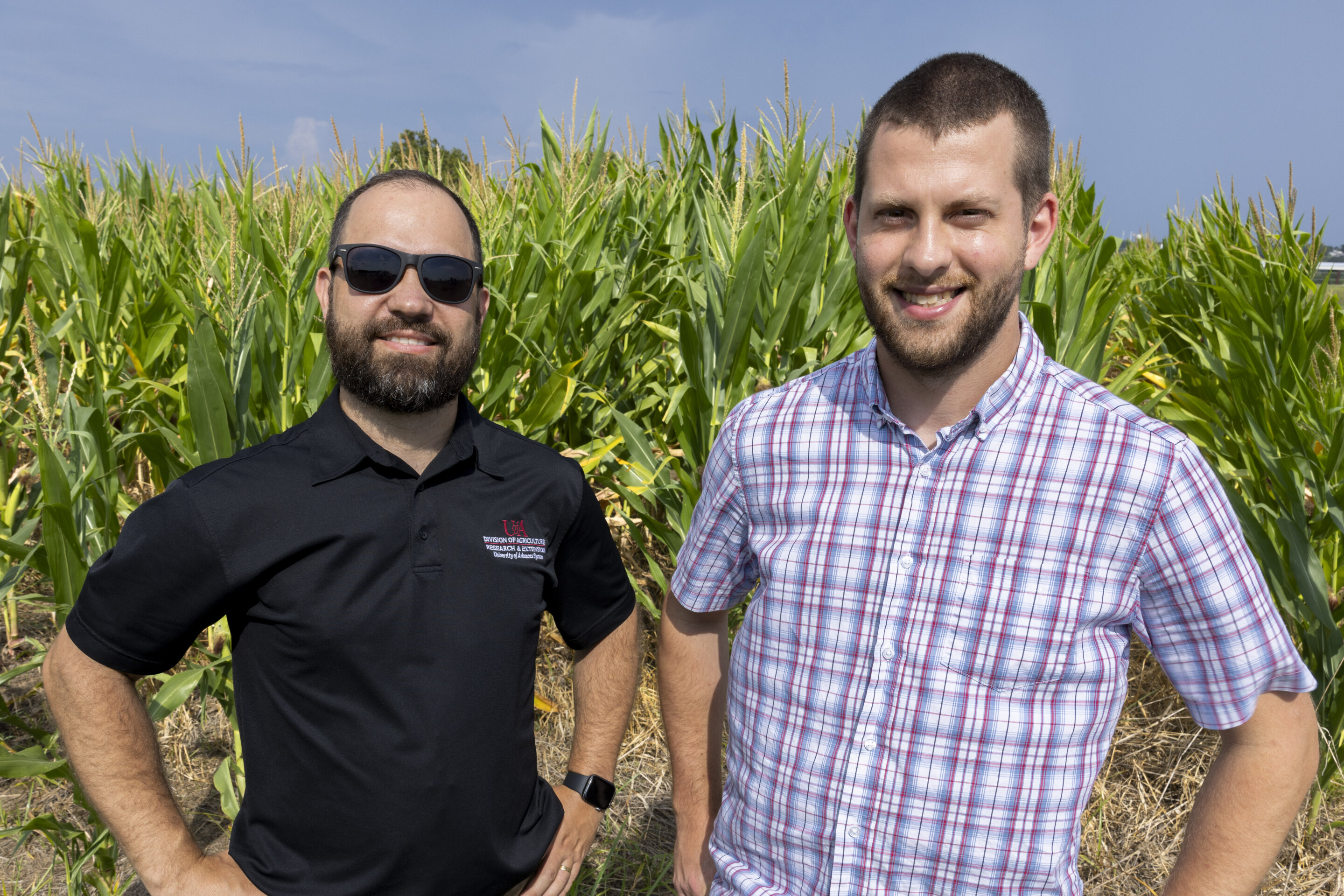 New machine learning model offers simple solution to predicting crop yield