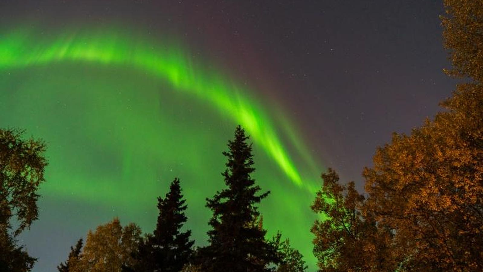 Northern Lights Forecast: Here’s Where You Could See The Aurora Borealis Tonight