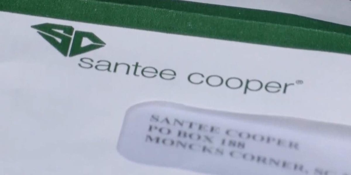 Santee Cooper stakeholders discuss proposed rate change