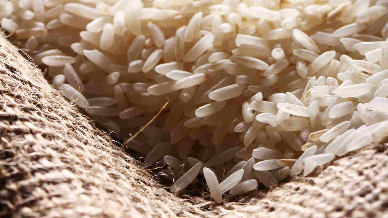 Camil adquire Rice Paraguay e Villa Oliva Rice