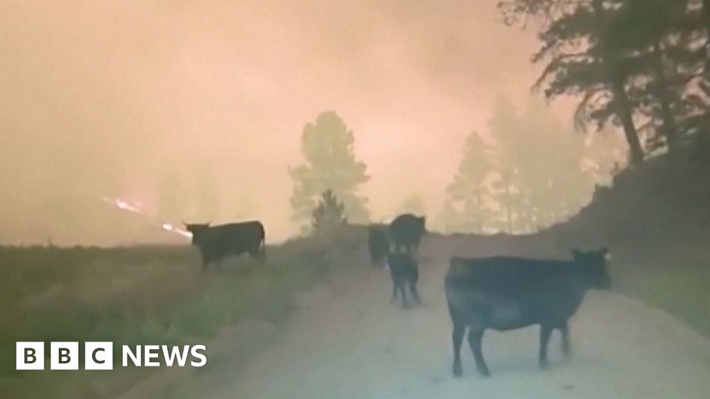 Watch: Police drive through flaming Montana countryside