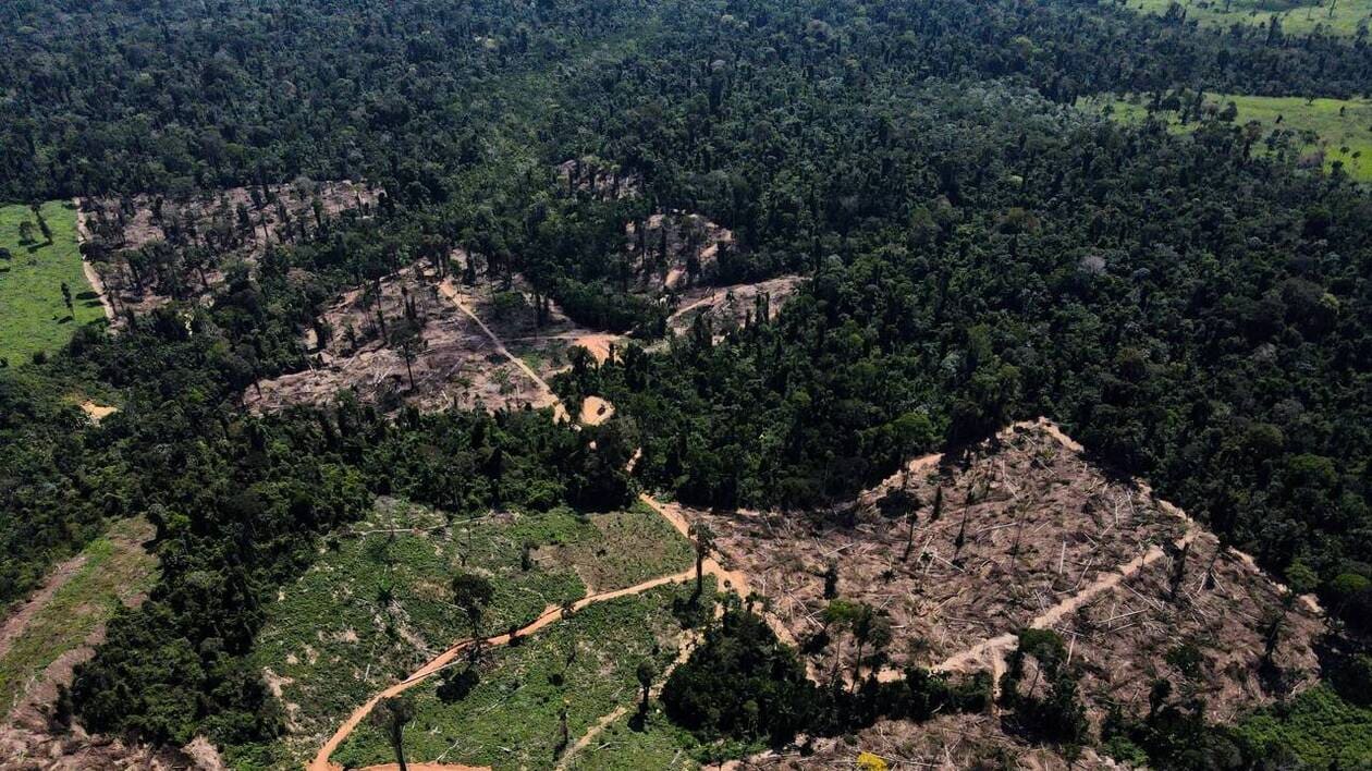 Déforestation, incendies… Pourquoi la « transformation » de l’Amazonie menace la planète