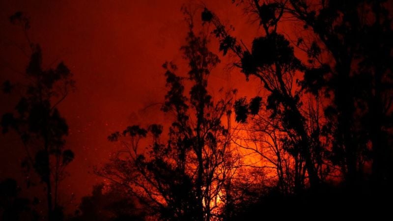 Autoridades de Ecuador afirman que el incendio forestal en Quito fue provocado y buscan a los responsables