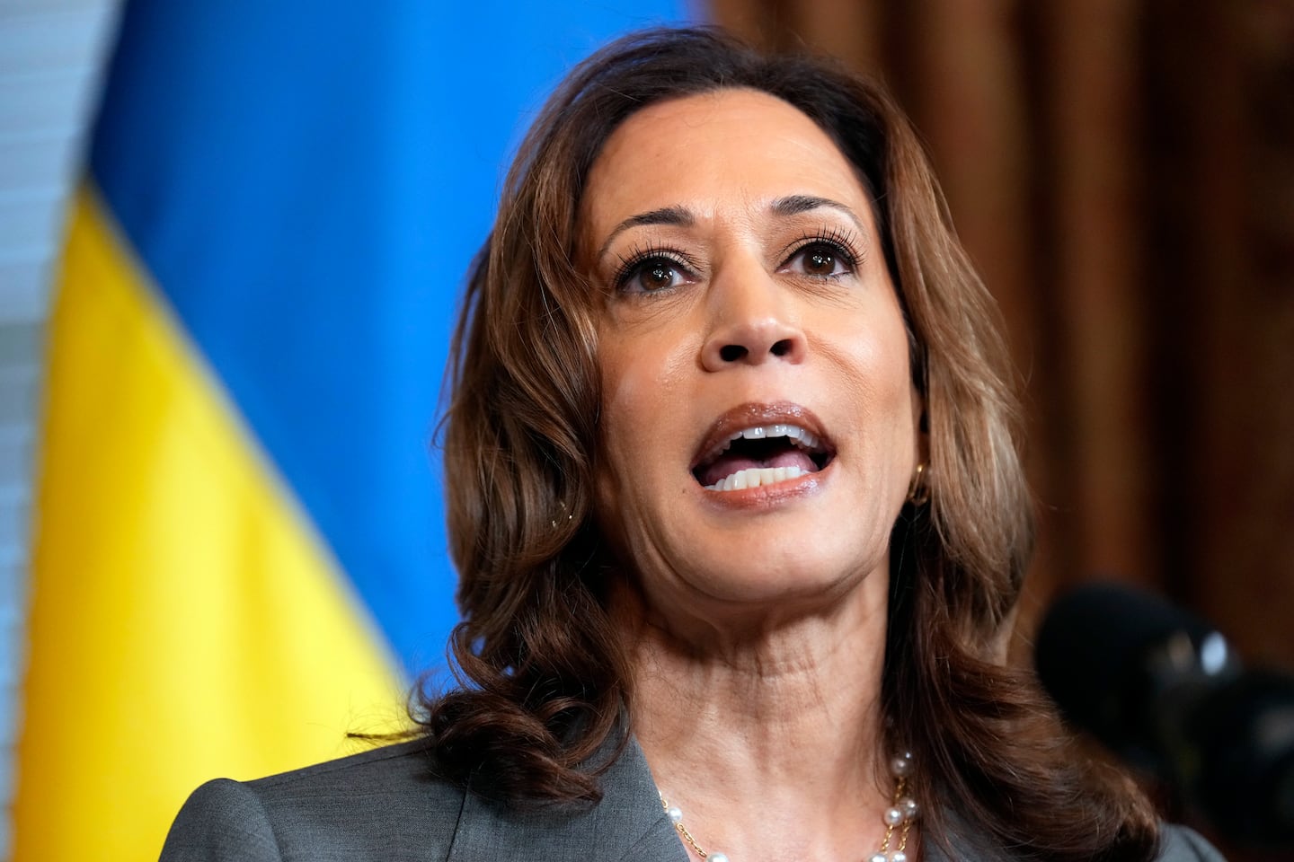 Harris heads to the US-Mexico border to face down criticism of her record