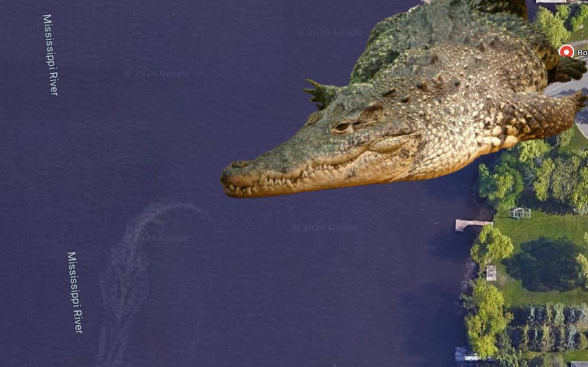 Minnesota’s River Mystery: Exploring The Alleged ‘Sartell Alligator’ On Google Maps