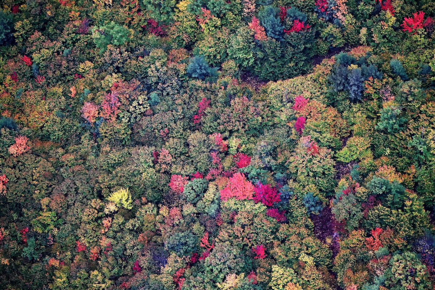 Massachusetts races ahead of New Hampshire in fall foliage display