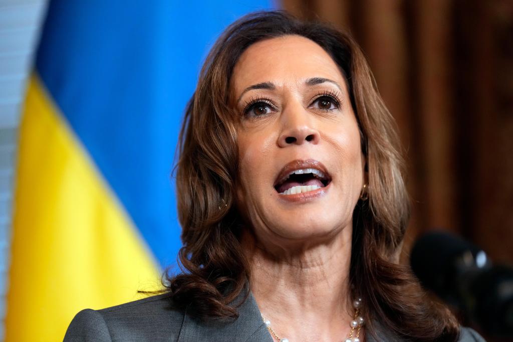 Kamala Harris heads to the US-Mexico border to face down criticism of her record