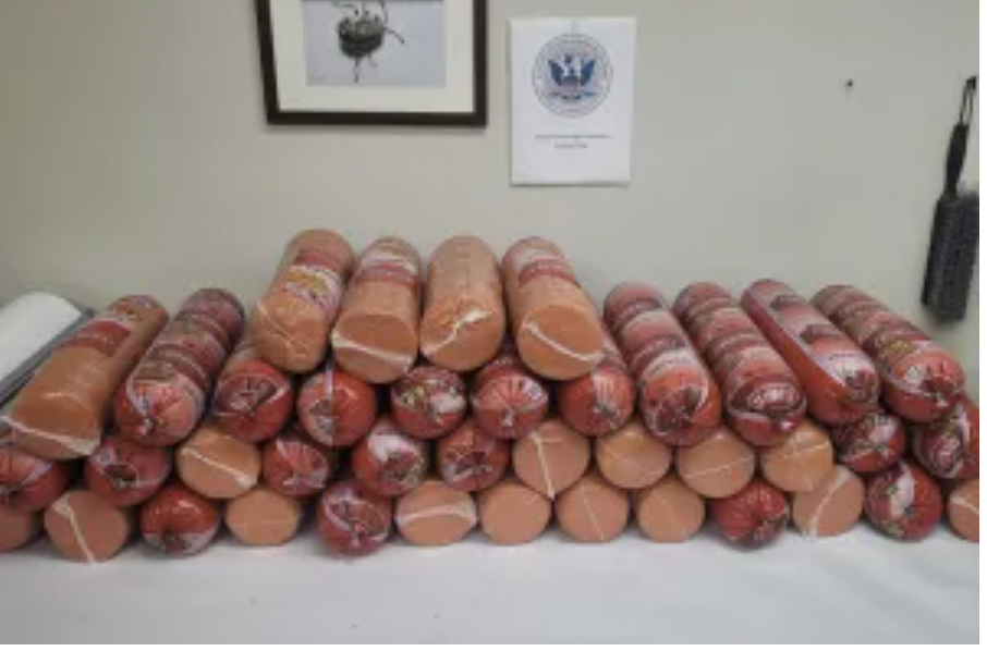 CBP Probably Didn't Expect to Find This Much Bologna