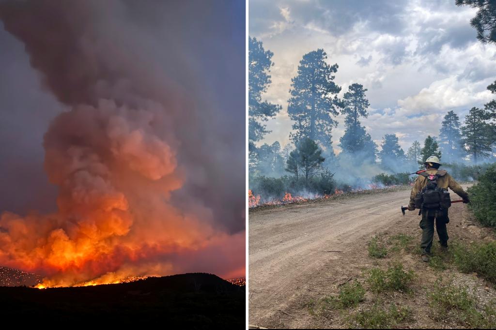 Colorado wildfire in August sparked by man's attempt to cremate his dog, authorities say