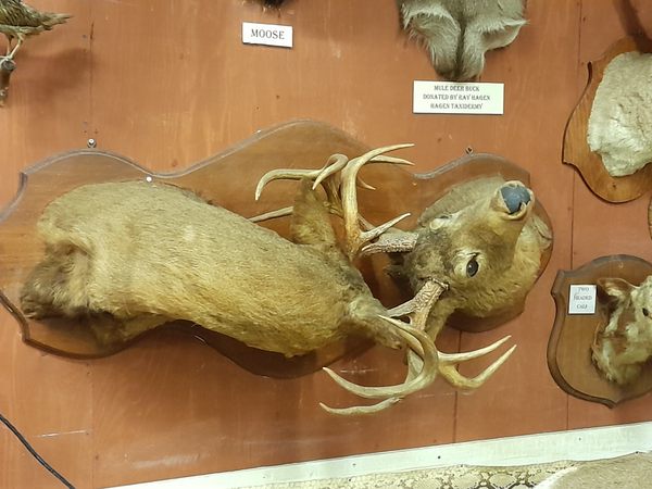 Valley County Pioneer Museum in Glasgow, Montana