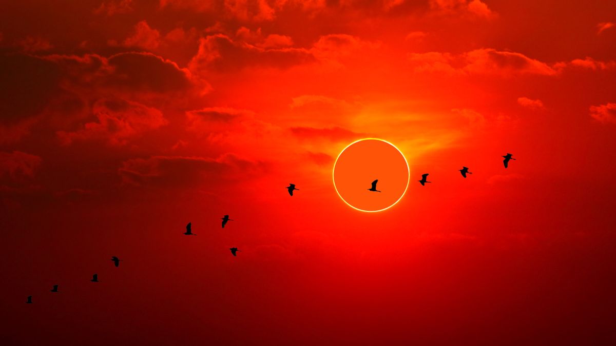 1 week until annular solar eclipse turns the sun into a dramatic 'ring of fire'