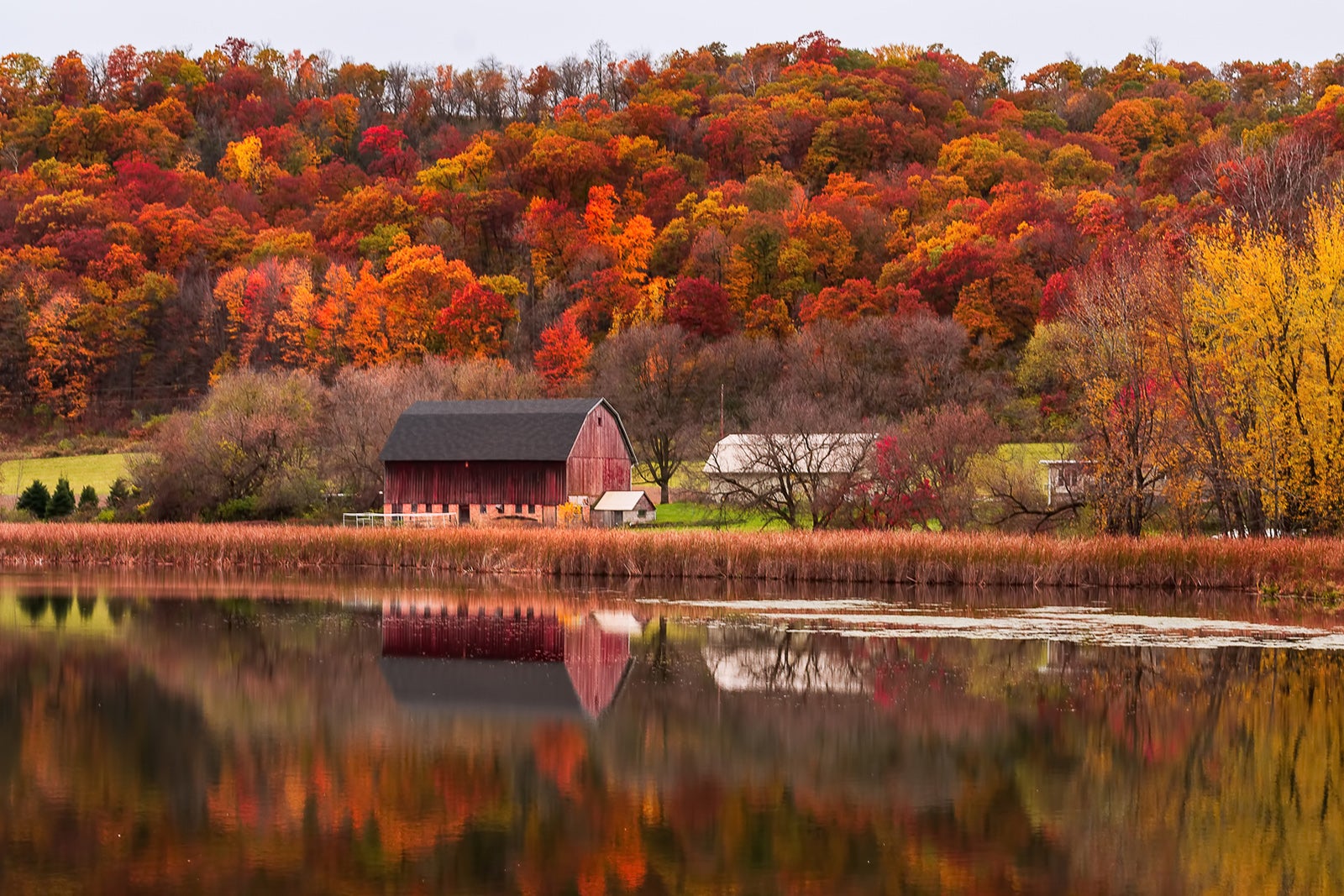 5 stunning fall foliage road trips in the Midwest