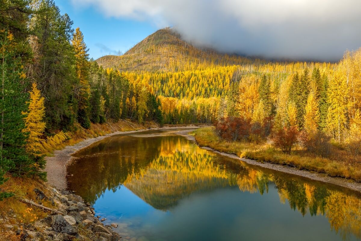 Montana’s Aspens Are Turning Gold. Here’s Where to See the Best Foliage in the State