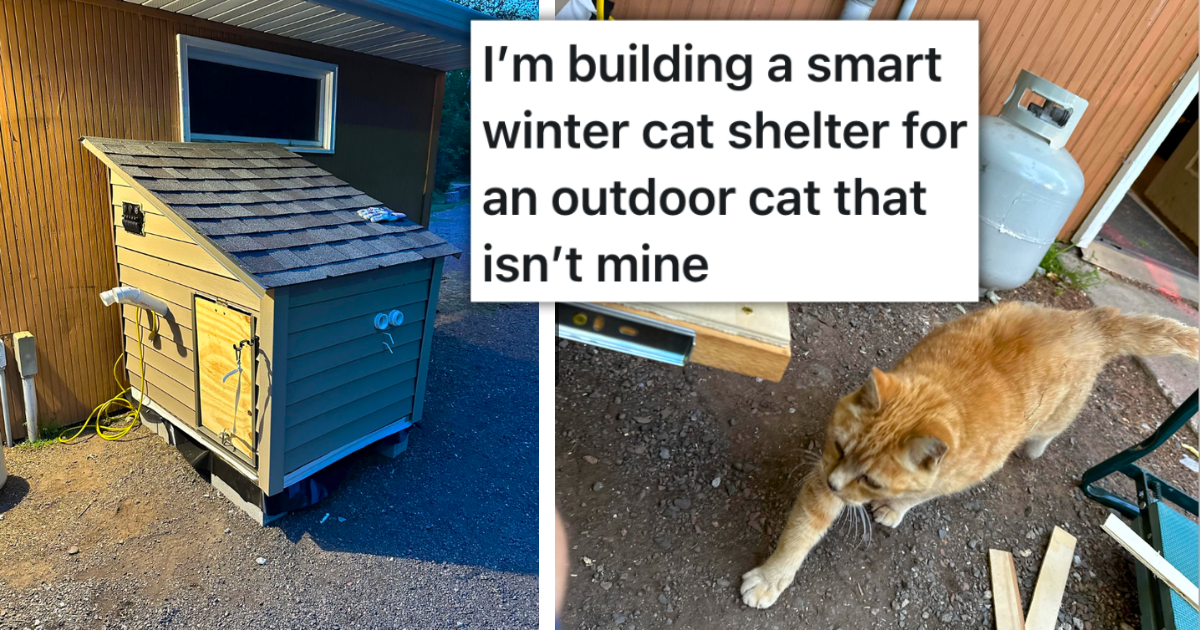 Kindhearted Hooman Engineer Builds "Smart" Shelter for Nearby Stray Cat, Claims the Cat 'Isn't His', But the Fluffy Feline Disagrees