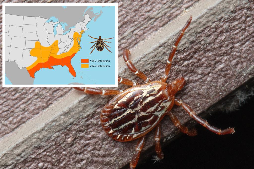 Connecticut reports first human case of tick-borne disease in the Northeast