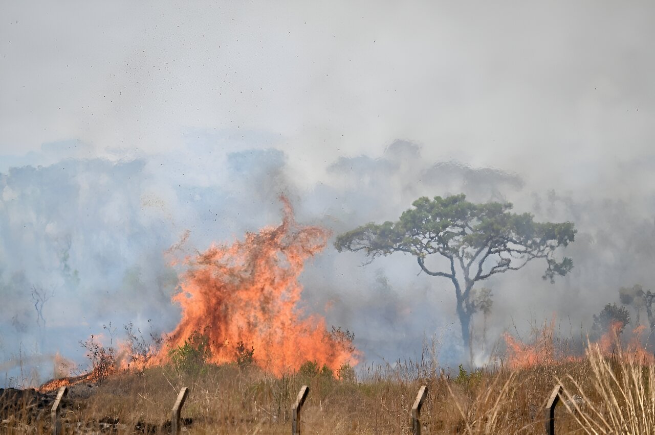 What we know about the fire 'pandemic' plaguing Brazil