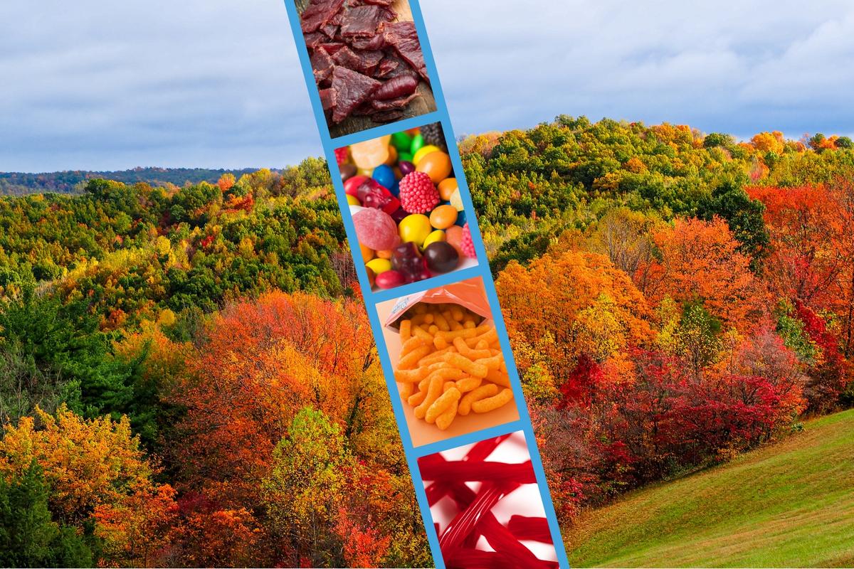 10 Must-Have Snacks for Fall Color Road Tripping Across Minnesota