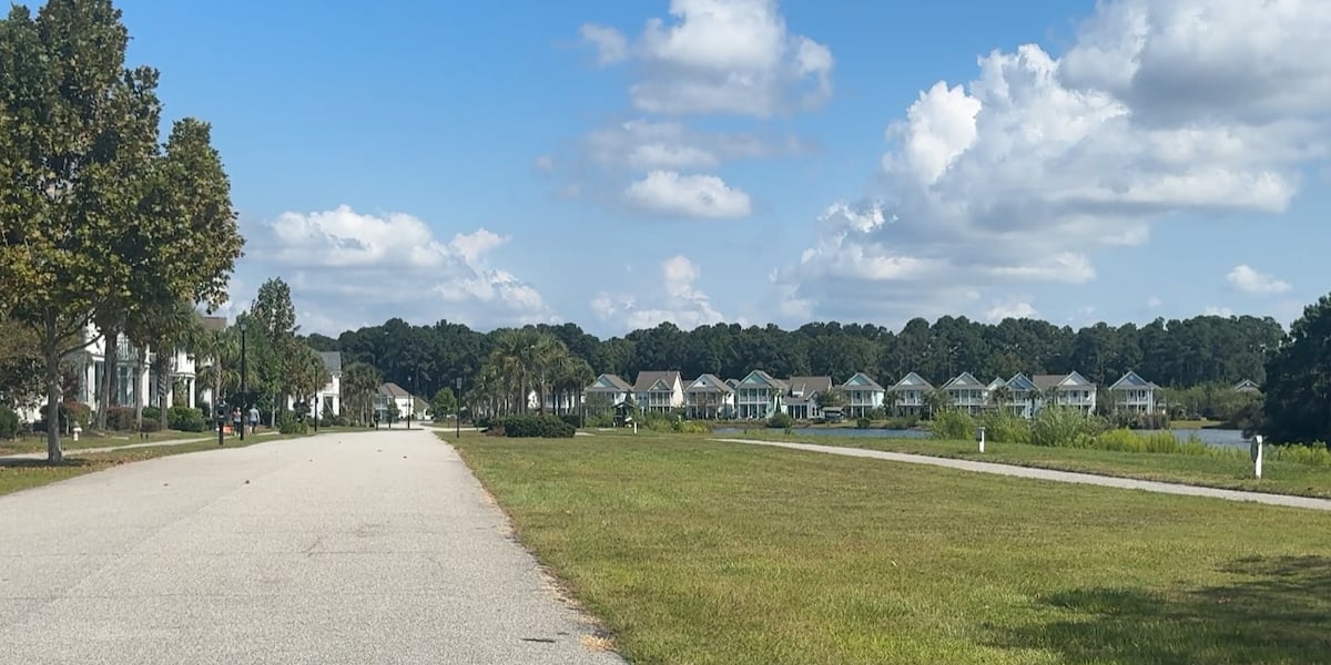 Johns Island resident continues fight for speed bumps after second car hits tree