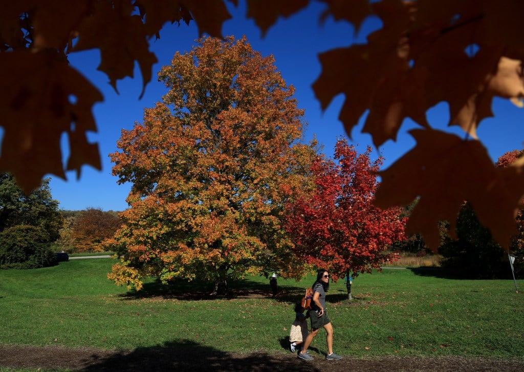 The best spots in Illinois for leaf-peeping