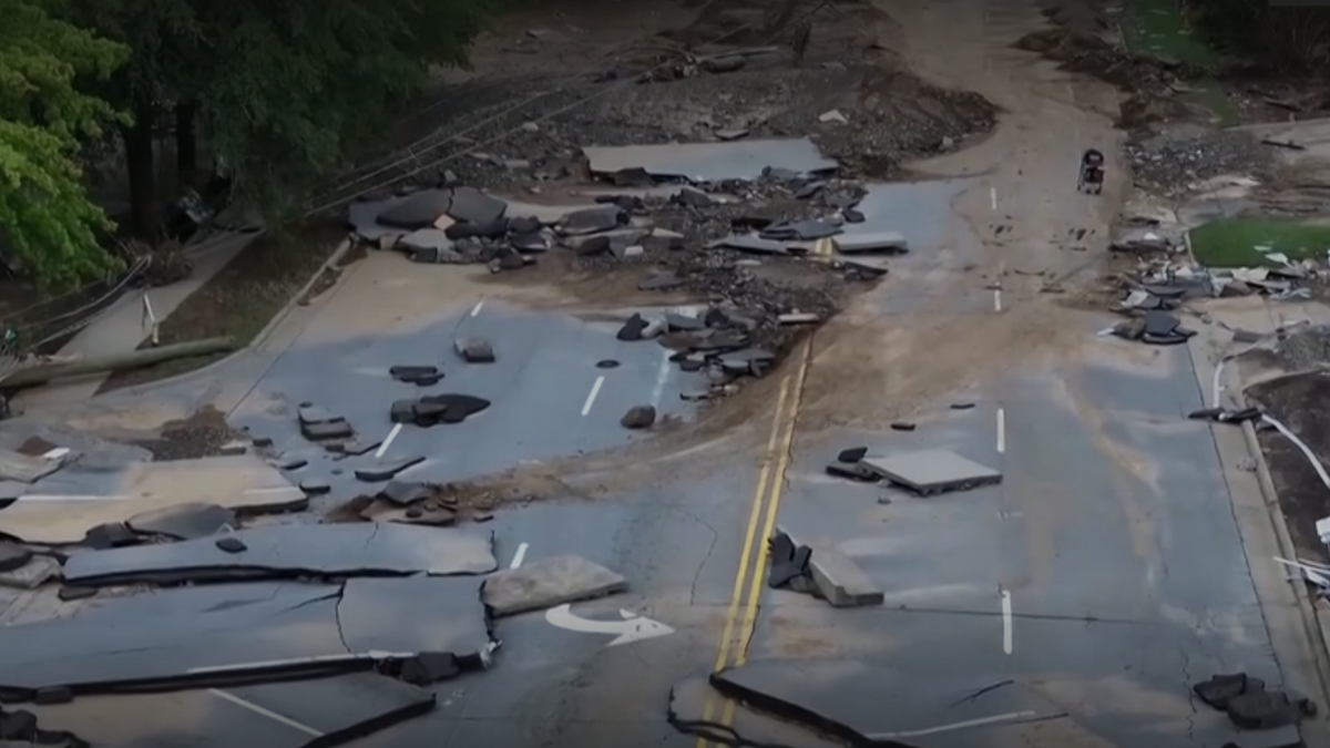 Pack mules are delivering supplies because Hurricane Helene ripped up so many roads