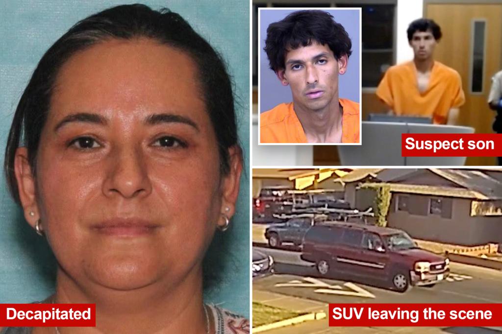 Arizona mom, Teresa DeJesus Cruz Rubio, decapitated by felon son, Alejandro Gonzalez, hours before birthday party