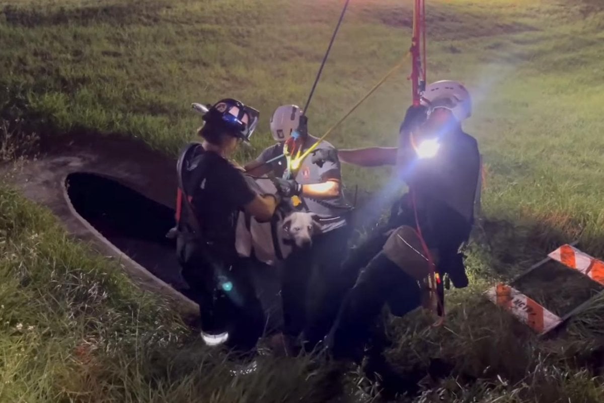 Florida firefighter lowered into cave to rescue dog