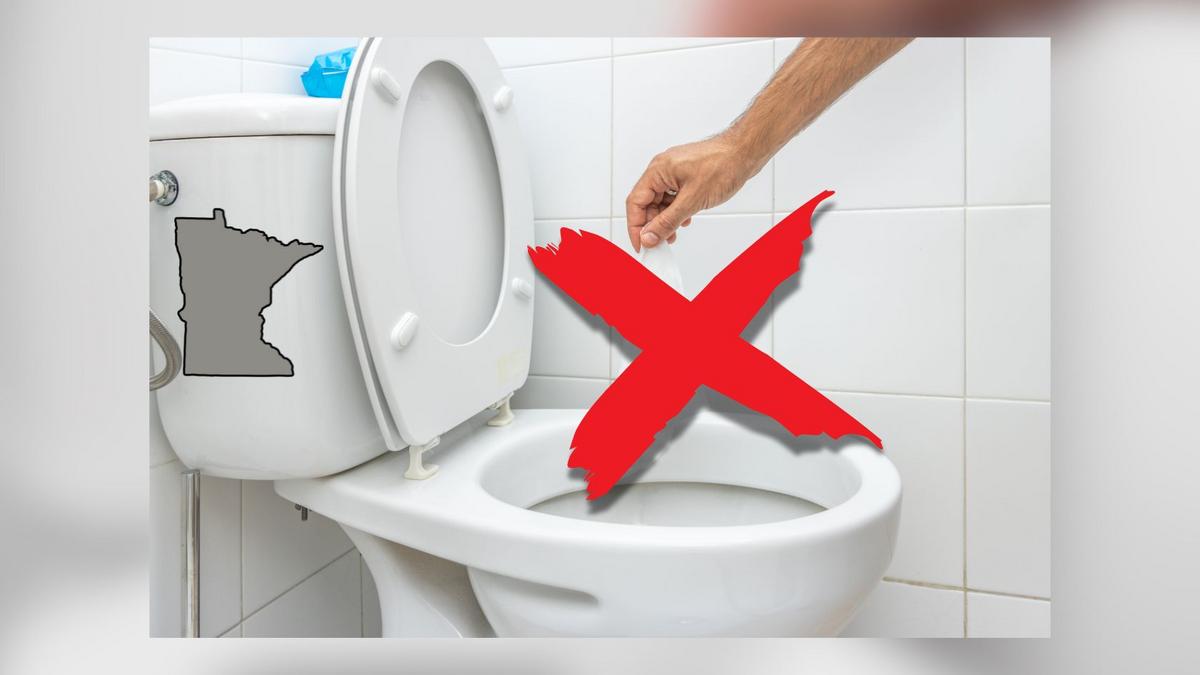 17 Things You Must Never Flush Down Your Toilet In Minnesota