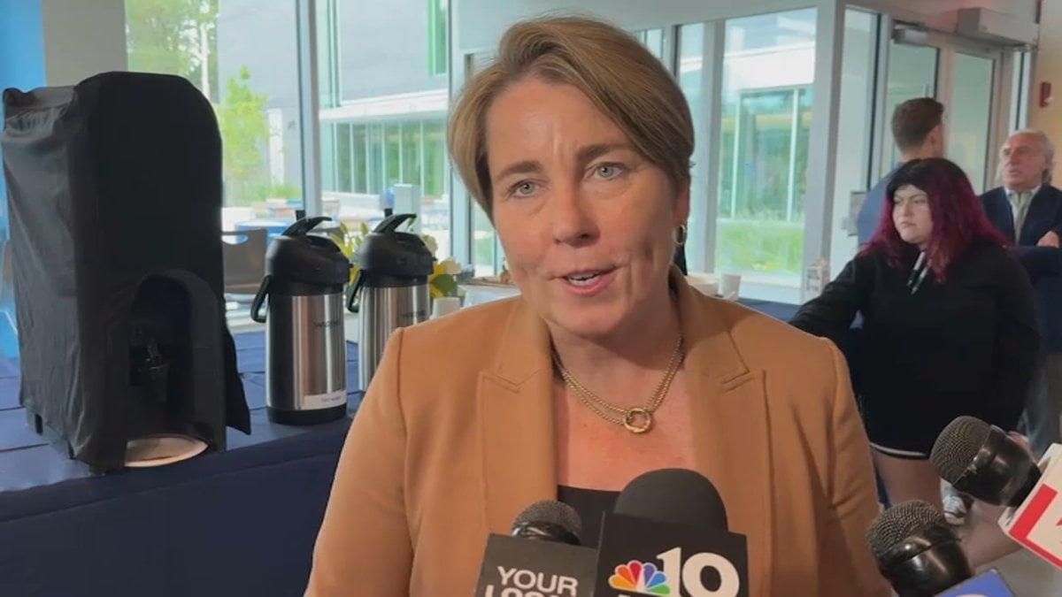 Healey makes move to block efforts to suspend Mass. gun reform law for 2 years