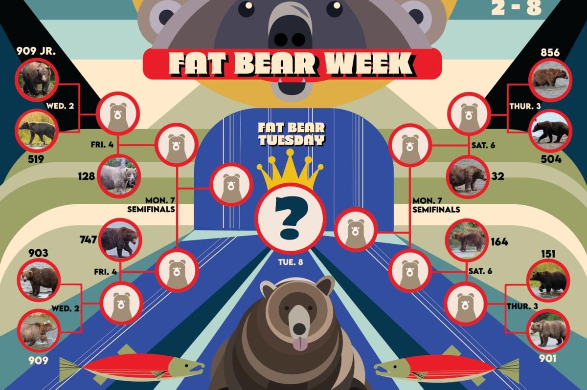 Fat Bear Week officially underway at Alaska's Katmai National Park